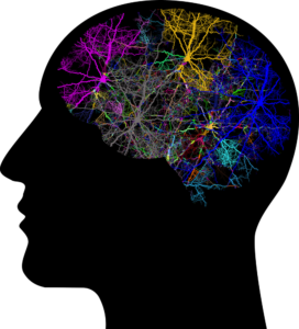 Neurones firing in a brain suggesting they did not remain calm