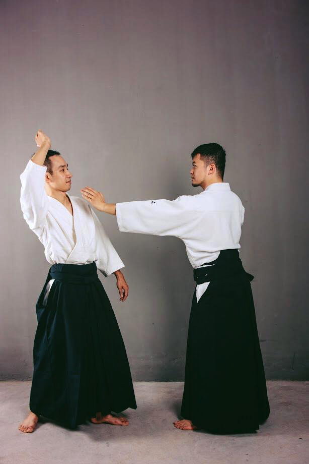 Aikido training