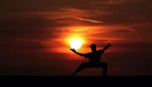 Martial artist in stance at sunset