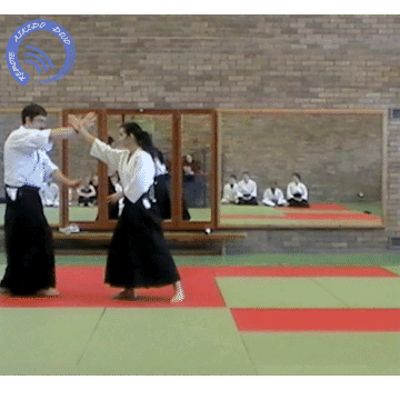 Gif of shomen uchi ikkyo omote from a static position. If there is no attack in aikido, this technique cannot be performed